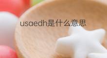 usaedh是什么意思 usaedh的中文翻译、读音、例句