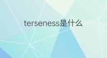 terseness是什么意思 terseness的中文翻译、读音、例句
