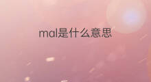 mal是什么意思 mal的中文翻译、读音、例句