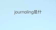 journaling是什么意思 journaling的中文翻译、读音、例句