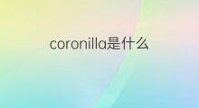 coronilla是什么意思 coronilla的中文翻译、读音、例句