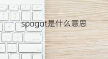 spagat是什么意思 spagat的中文翻译、读音、例句