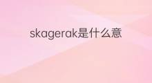 skagerak是什么意思 skagerak的翻译、读音、例句、中文解释