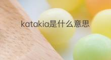 katakia是什么意思 katakia的中文翻译、读音、例句