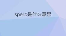 spero是什么意思 spero的中文翻译、读音、例句