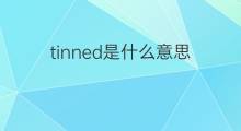 tinned是什么意思 tinned的中文翻译、读音、例句