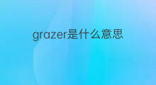 grazer是什么意思 grazer的中文翻译、读音、例句