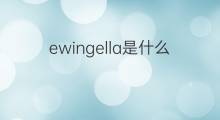 ewingella是什么意思 ewingella的中文翻译、读音、例句