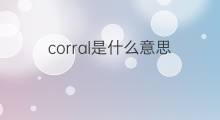 corral是什么意思 corral的翻译、读音、例句、中文解释
