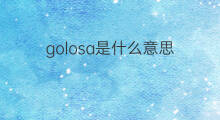golosa是什么意思 golosa的中文翻译、读音、例句