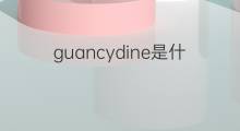 guancydine是什么意思 guancydine的中文翻译、读音、例句