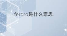 ferara是什么意思 ferara的中文翻译、读音、例句