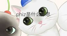 phiz是什么意思 phiz的中文翻译、读音、例句