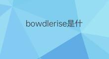 bowdlerise是什么意思 bowdlerise的中文翻译、读音、例句