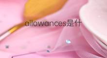 allowances是什么意思 allowances的中文翻译、读音、例句