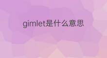 gimlet是什么意思 gimlet的中文翻译、读音、例句
