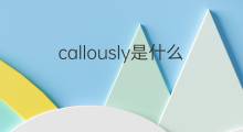 callously是什么意思 callously的翻译、读音、例句、中文解释