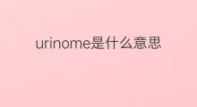 urinome是什么意思 urinome的中文翻译、读音、例句