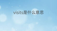 visits是什么意思 visits的中文翻译、读音、例句