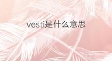 vesti是什么意思 vesti的翻译、读音、例句、中文解释