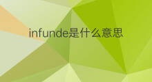 infunde是什么意思 infunde的中文翻译、读音、例句