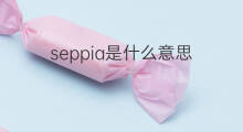 seppia是什么意思 seppia的中文翻译、读音、例句