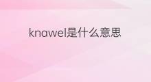 knawel是什么意思 knawel的中文翻译、读音、例句
