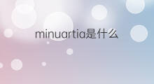minuartia是什么意思 minuartia的中文翻译、读音、例句