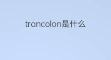 trancolon是什么意思 trancolon的中文翻译、读音、例句