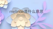 melinae是什么意思 melinae的中文翻译、读音、例句