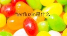 terfluzin是什么意思 terfluzin的中文翻译、读音、例句
