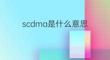 scdma是什么意思 scdma的中文翻译、读音、例句