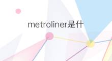 metroliner是什么意思 metroliner的翻译、读音、例句、中文解释