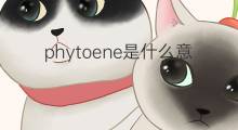 phytoene是什么意思 phytoene的中文翻译、读音、例句