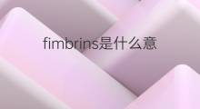 fimbrins是什么意思 fimbrins的中文翻译、读音、例句