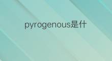 pyrogenous是什么意思 pyrogenous的中文翻译、读音、例句