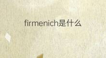 firmenich是什么意思 firmenich的中文翻译、读音、例句