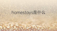 homestays是什么意思 homestays的中文翻译、读音、例句