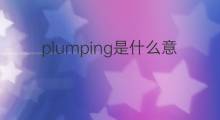 plumping是什么意思 plumping的中文翻译、读音、例句
