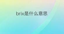 brix是什么意思 brix的中文翻译、读音、例句