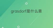 grasdorf是什么意思 grasdorf的翻译、读音、例句、中文解释