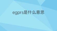egprs是什么意思 egprs的中文翻译、读音、例句