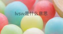 lvsw是什么意思 lvsw的中文翻译、读音、例句