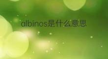 albinos是什么意思 albinos的中文翻译、读音、例句