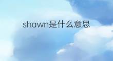 shawn是什么意思 shawn的中文翻译、读音、例句