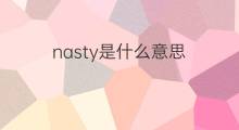 nasty是什么意思 nasty的中文翻译、读音、例句