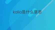 kalia是什么意思 英文名kalia的翻译、发音、来源