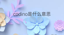 codino是什么意思 codino的中文翻译、读音、例句