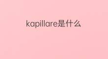 kapillare是什么意思 kapillare的中文翻译、读音、例句