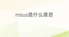 msus是什么意思 msus的中文翻译、读音、例句